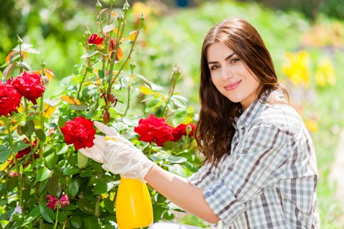 Efficient irrigation system in Kenton garden